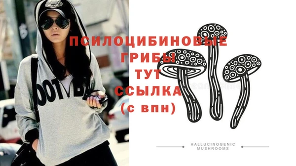 соль ск Балахна